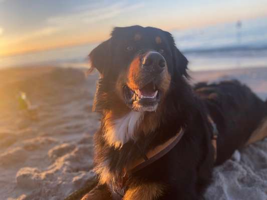 Zeigt eure Portraits-Beitrag-Bild