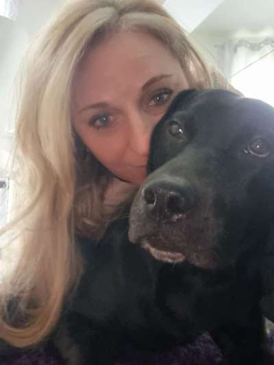 Labradorfans-Beitrag-Bild