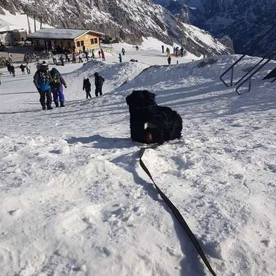 Urlaub in großer höhe-Beitrag-Bild