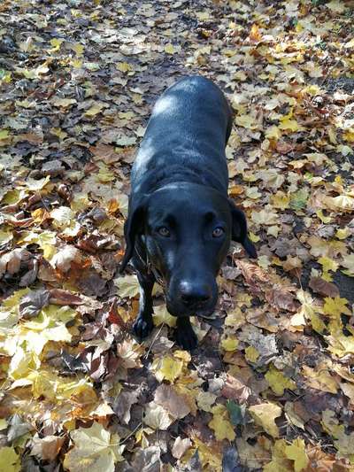 Fotochallange Nr. 57     PORTRÄT.   Beendet!!!!!!!!-Beitrag-Bild