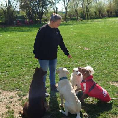 Stefanie's Profilbild