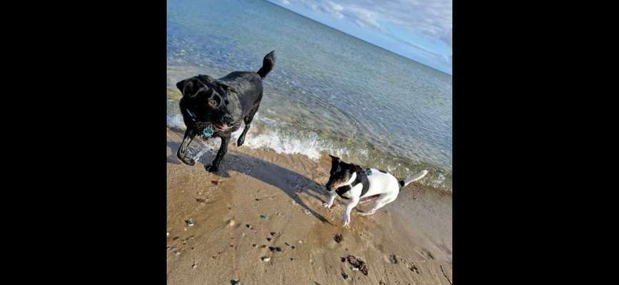 Zeigt eure Portraits-Beitrag-Bild