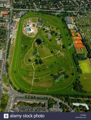 Hundeauslaufgebiet-Horner Rennbahn-Bild