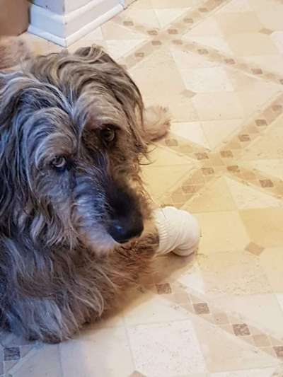 Handwurzelballen aufgerissen!-Beitrag-Bild