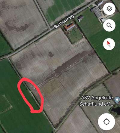 Giftköder-Möglicher Giftköder-Bild