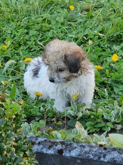 Erstes Bild-Beitrag-Bild