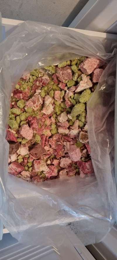 Trockenfutter gut und günstig-Beitrag-Bild