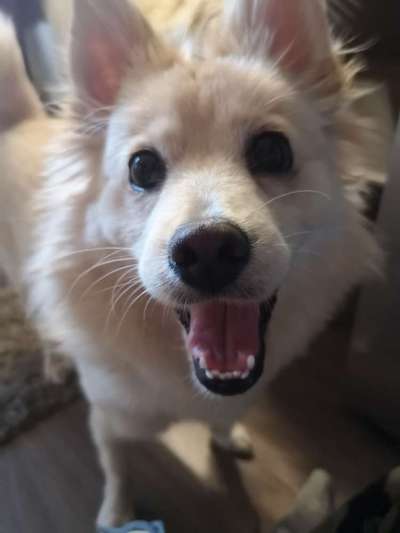 Lieblingsbild :D-Beitrag-Bild