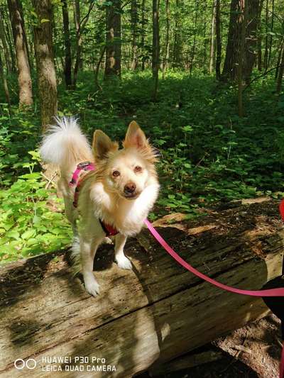 Theos  Fotochallenge Nummer 2-Beitrag-Bild