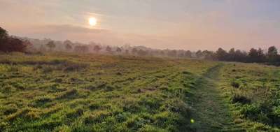 Hundeauslaufgebiet-Ostcharweg-Bild