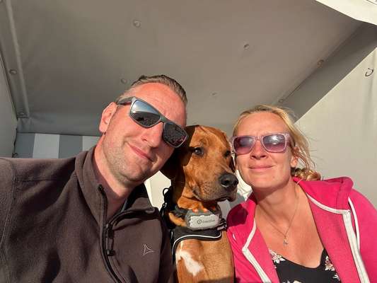 Hundetreffen-Social Walk bzw. Gassirunde rund um Oldenburg-Bild