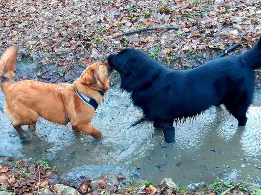 Fotochallenge liebespaare-Beitrag-Bild