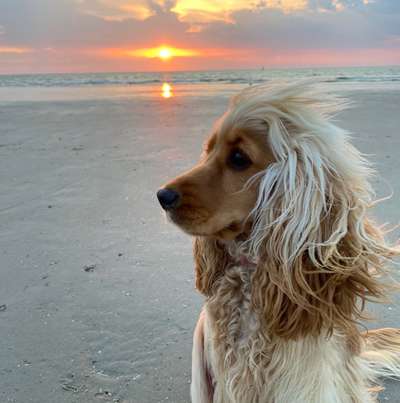 Zeigt eure Portraits-Beitrag-Bild