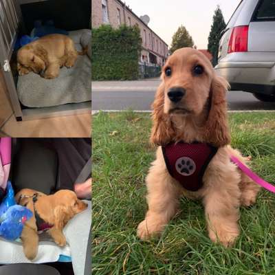 Euer schönster Moment des Jahres auf einem Bild!-Beitrag-Bild