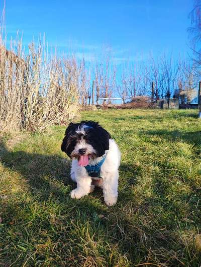 Erstes Bild-Beitrag-Bild