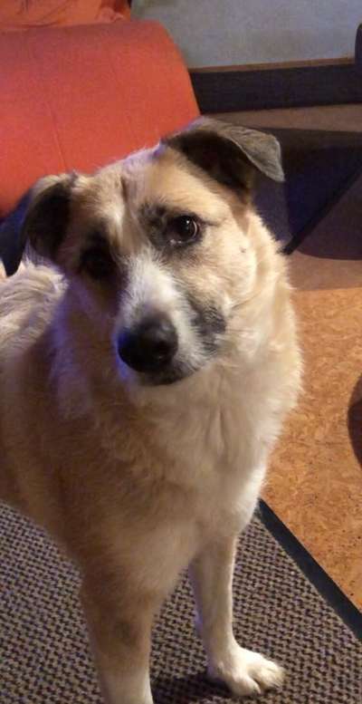 Lieblingsbild-Beitrag-Bild