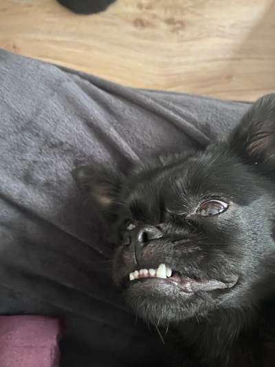 Blick fürs Detail!-Beitrag-Bild