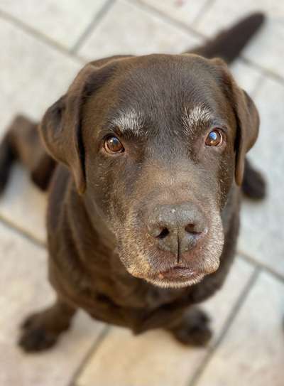 Fotochallenge Nr. 56 - geliebte Senioren-Beitrag-Bild