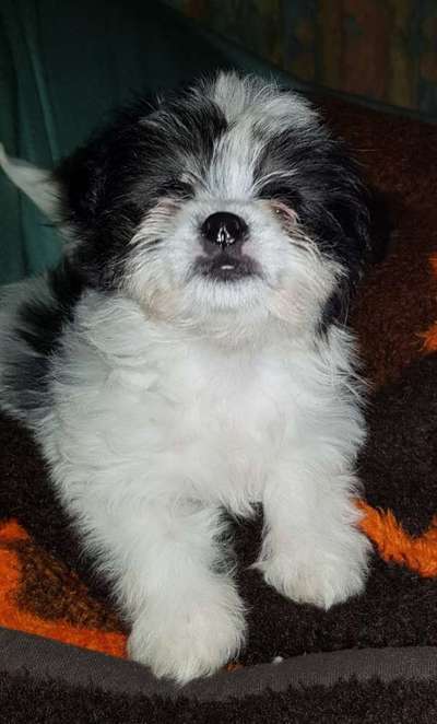 Sie werden so schnell erwachsen ...-Beitrag-Bild