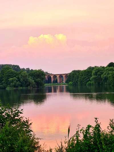 Die wunderschöne Welt mit Hund.-Beitrag-Bild