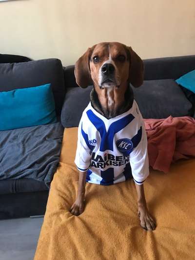 149. Foto Challenge: Wer ist hier der Boss!-Beitrag-Bild