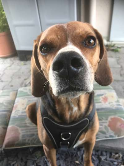 150. Foto Challaenge:  Die Augen, der Spiegel der Seele-Beitrag-Bild