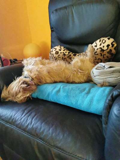 Die unbequemsten und lustigsten Schlafpositionen-Beitrag-Bild