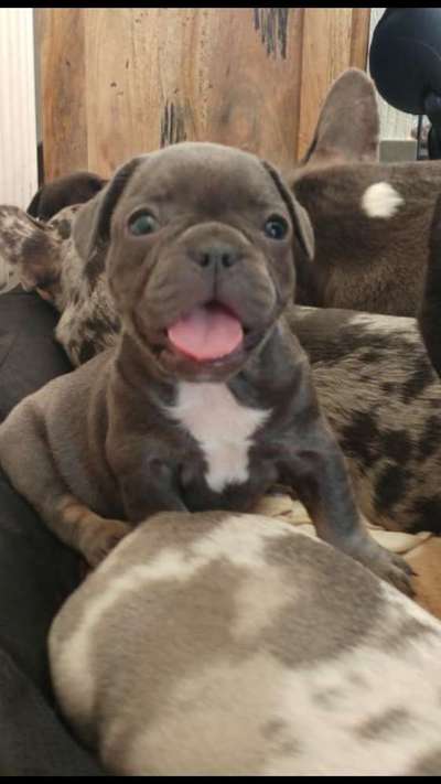 Erstes Bild-Beitrag-Bild