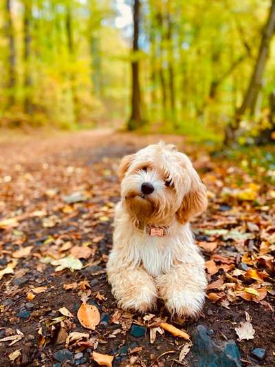 Foto Challenge 2 BEENDET 
Bitte aktuelle Challenge nutzen-Beitrag-Bild