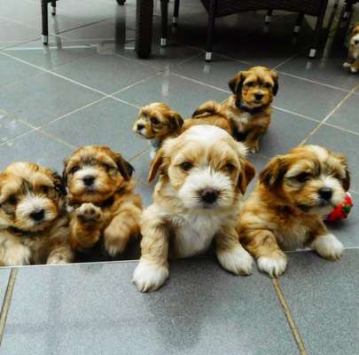 Foto Challenge 3-Beitrag-Bild