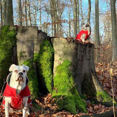 Welche Mäntel empfehlt ihr?-Beitrag-Bild