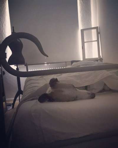 Gemeinsames Kuscheln im Bett!-Beitrag-Bild