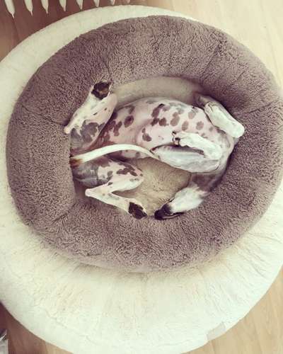 Ab-gehangen-Beitrag-Bild