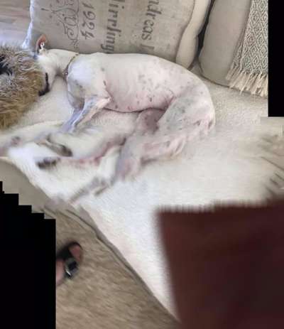 Fotochallange 84-Beitrag-Bild