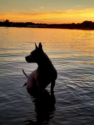 Fotochallenge Nr. 94 It's summer time-Beitrag-Bild