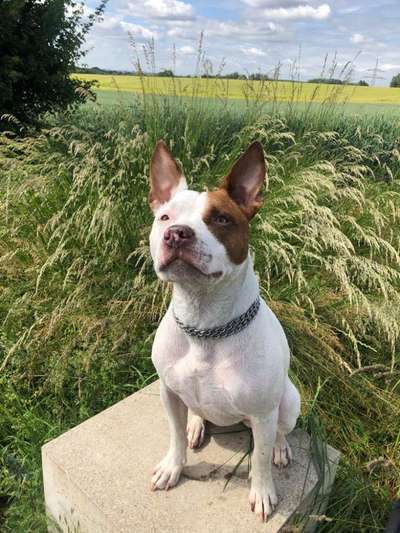 Doppelgänger gesucht !-Beitrag-Bild