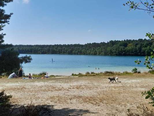 Hundestrände in NRW-Beitrag-Bild