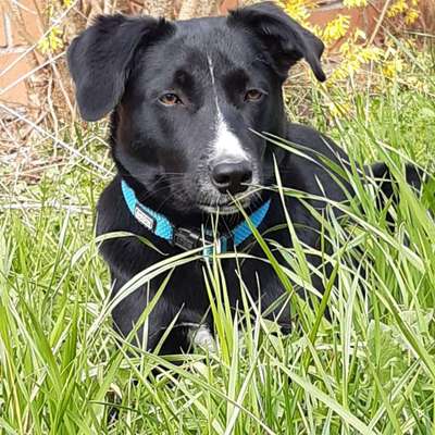 Farben Fotochallenge Thema ,,Grün"-Beitrag-Bild