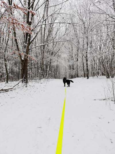 Schönsten Schnee Videos/Bilder-Beitrag-Bild