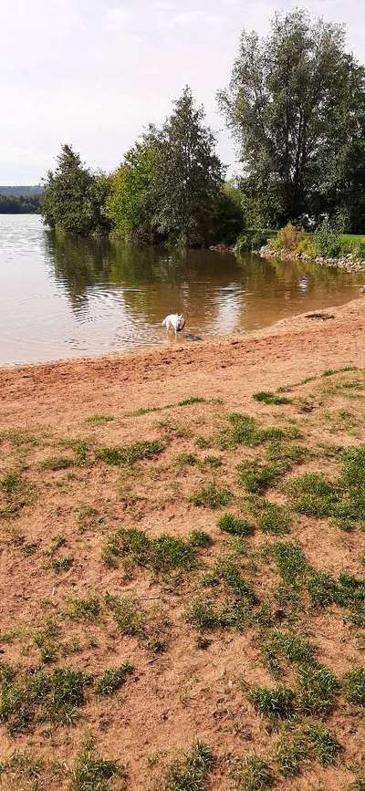 Foto Challenge Nr.133-Beitrag-Bild