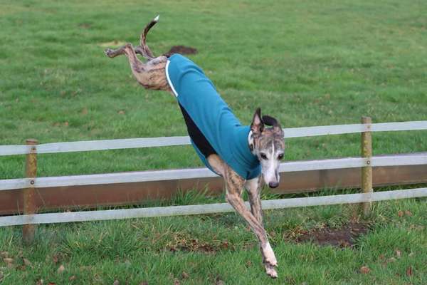 Fotochallenge Nr. 67: Euer Lieblingsbild-Beitrag-Bild