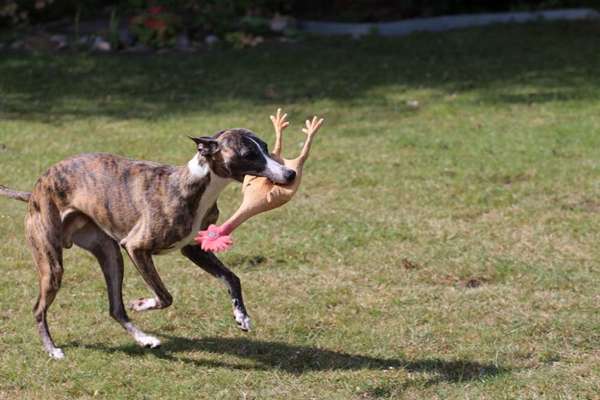 Fotochallenge Nr. 64-Beitrag-Bild