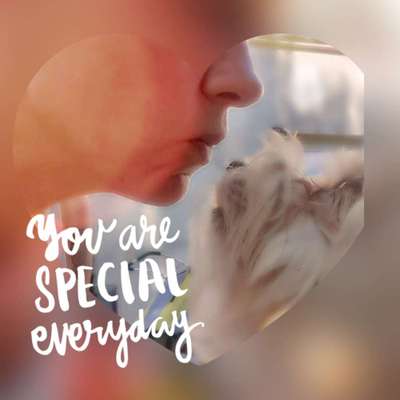 Challenge 33 - Du und dein Hund-Beitrag-Bild