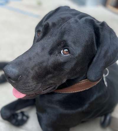 Handy-Foto Challange Nr. 10-Beitrag-Bild