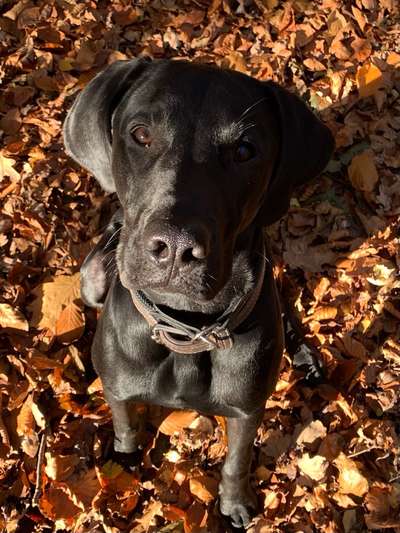 Fotochallange Nr. 57     PORTRÄT.   Beendet!!!!!!!!-Beitrag-Bild