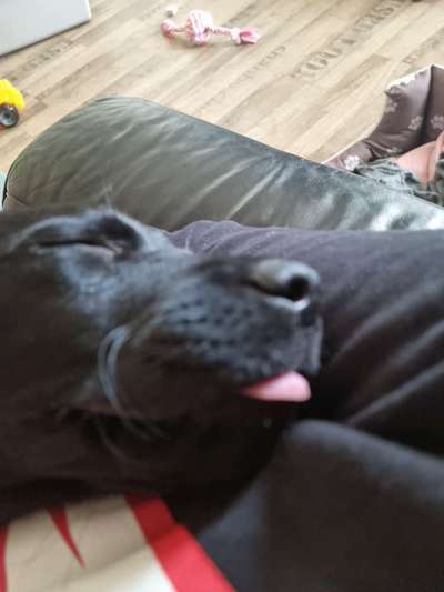 Tongue Out Tuesday-Beitrag-Bild