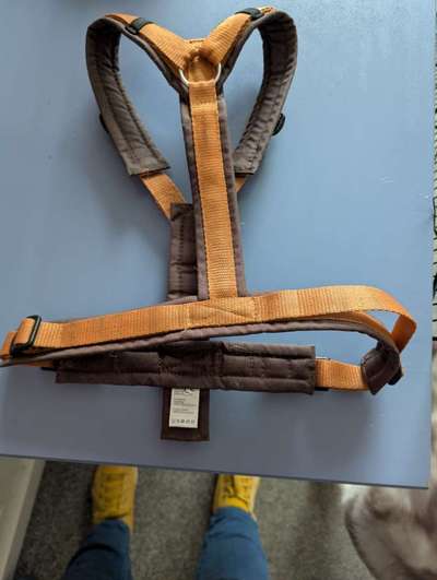 Anny x geschirr-Beitrag-Bild