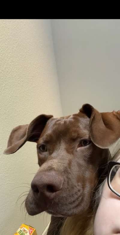 23. Handy Foto-Challenge-Beitrag-Bild