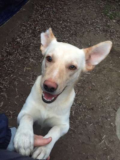 Erstes Bild-Beitrag-Bild