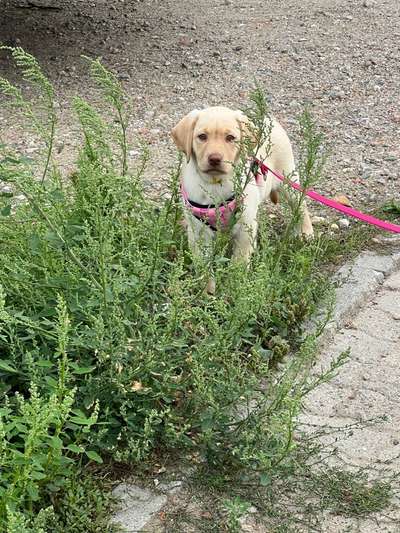 Lieblingsbild-Beitrag-Bild